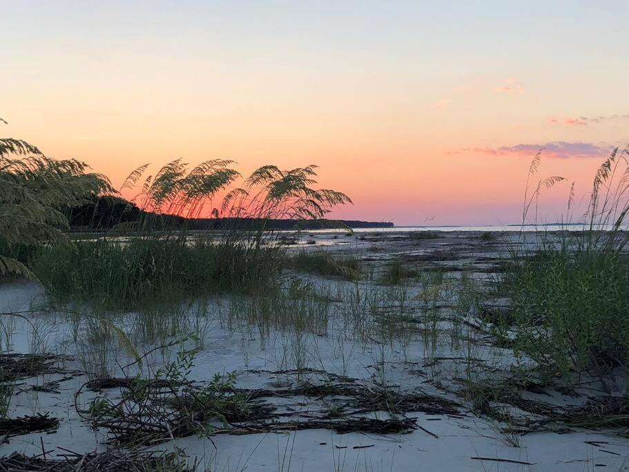 Peaceful Treetop Condo - 2Br/2Ba Hilton Head Island Exterior foto